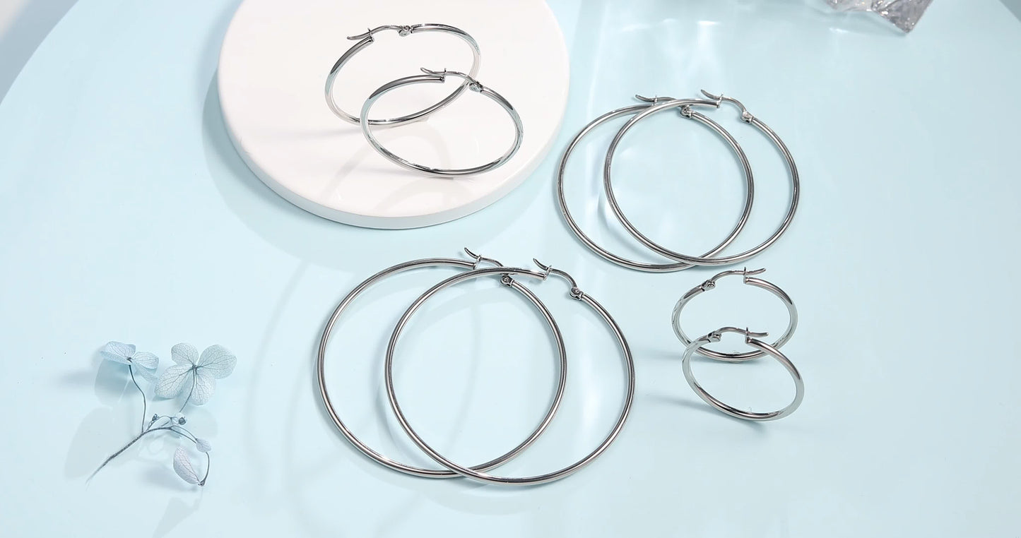TitanHeart Titanium Hoop Earrings Hypoallergenic - Implant Grade Pure Titanium G23 Lightweight Big Hoops for Women Sensitive Ears (30 Millimeter,Sliver)