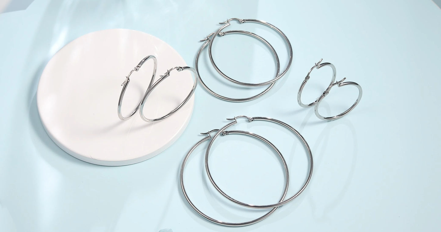 TitanHeart Titanium Hoop Earrings Hypoallergenic - Implant Grade Pure Titanium G23 Lightweight Big Hoops for Women Sensitive Ears (30 Millimeter,Sliver)