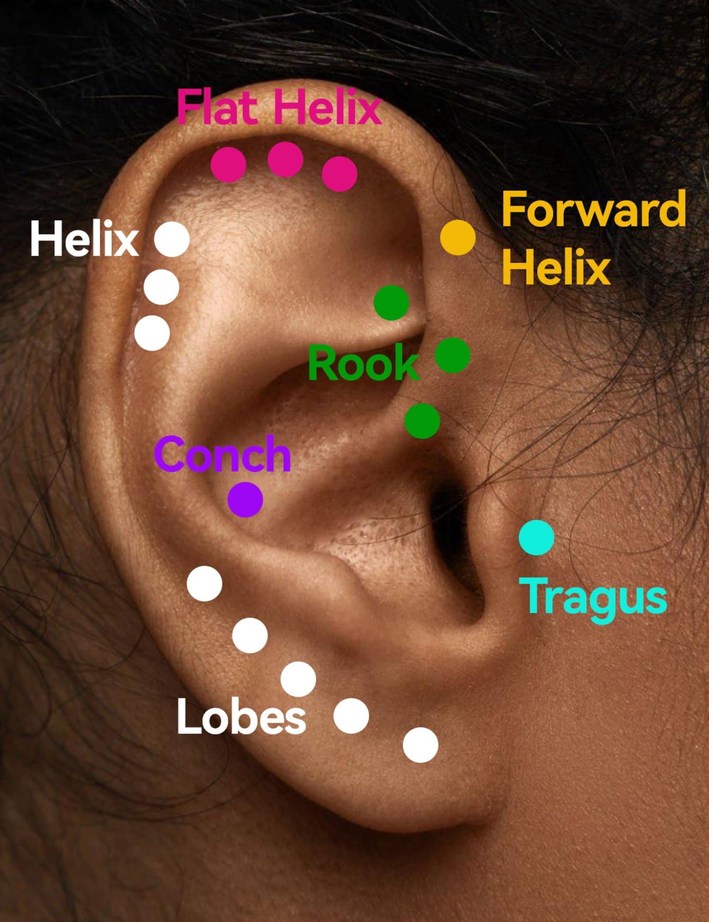 F136 Titanium Lip Rook Labret Studs Helix Tragus Earring,18G Threadless Nose Stud Hypoallergenic Conch Lobe Cartilage Push Back Piercing Jewelry
