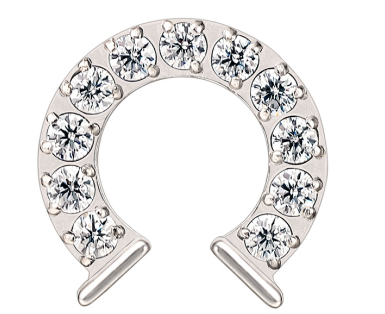 limerencia F136 Titanium Hypoallergenic Piercing Jewelry 18G 6mm 8mm 10mm For Tragus,Helix,Conch,Cartilage,Lip,Implant Grade Flat Back Internally Threaded Stud Earrings (Horseshoe 1pc)