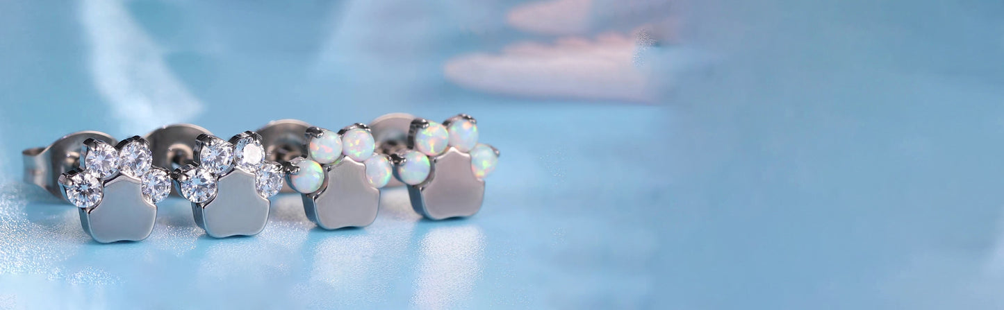 Limerencia G23 Pure Titanium Hypoallergenic Earrings | Cat Paws CZ F136 Implant Grade Titanium Jewelry for Sensitive Ears