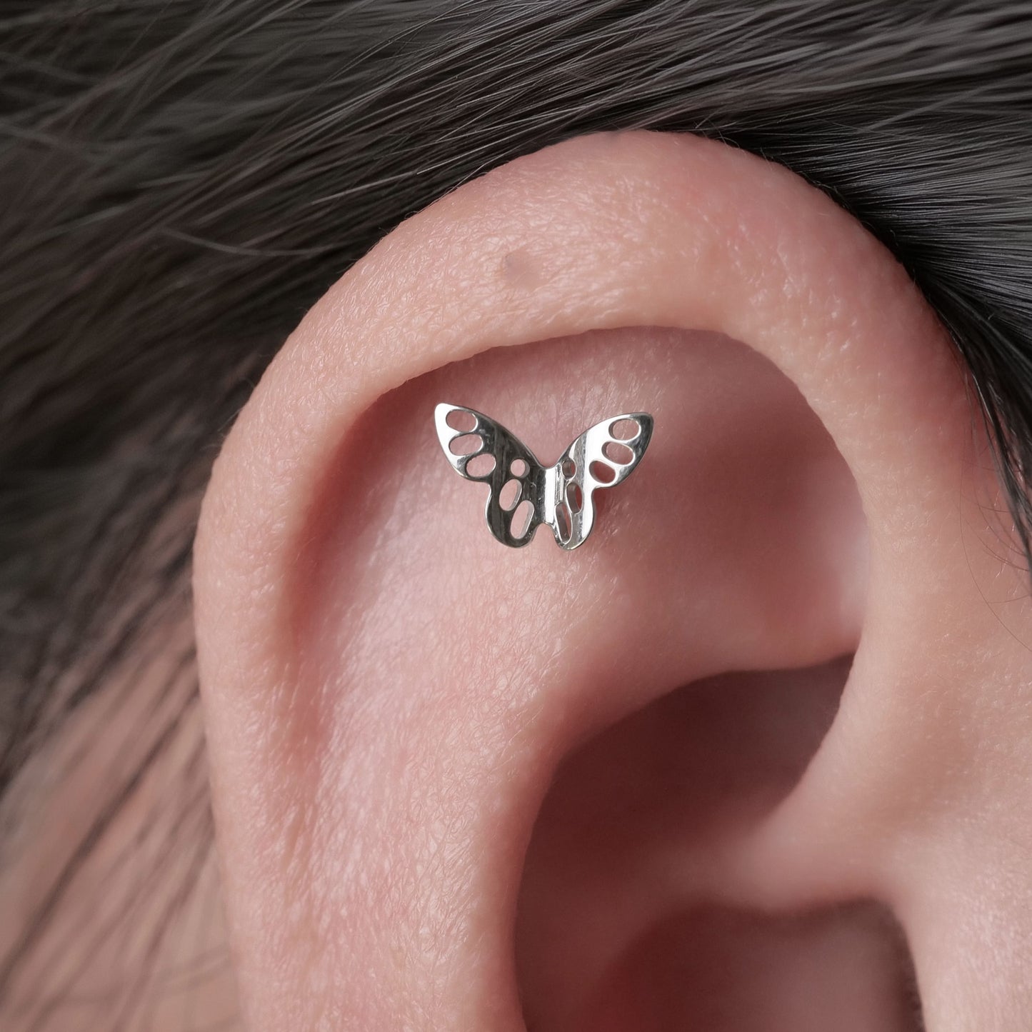limerencia Hypoallergene Titan F136 Schraubverschluss Ohrringe mit flacher Rückseite Implantatqualität G23 Tragus Helix Knorpel 20G Piercing für empfindliche Ohren von Frauen (Q1)