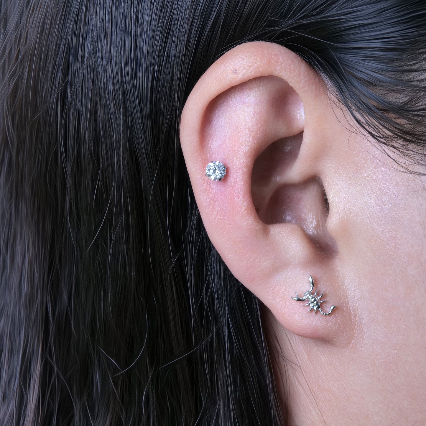 Limerencia Pendientes Hipoalergénicos de Titanio G23 de Grado Implante con Cierre de Rosca para Tragus 20G Hélice Poste de Piercing F136 para Orejas Sensibles Cartílago (escorpio)