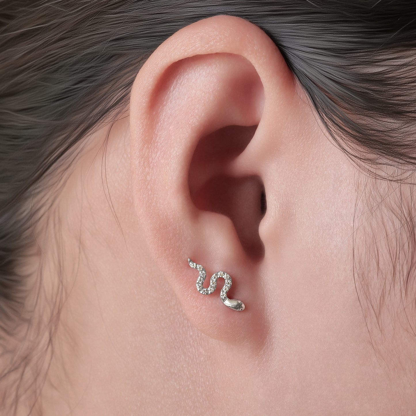 Limerencia Hypoallergenic G23 Implant Grade Titanium Screw Back Earrings Tragus 20G Helix F136 Piercing Post for Sensitive Ears Cartilage(snake)