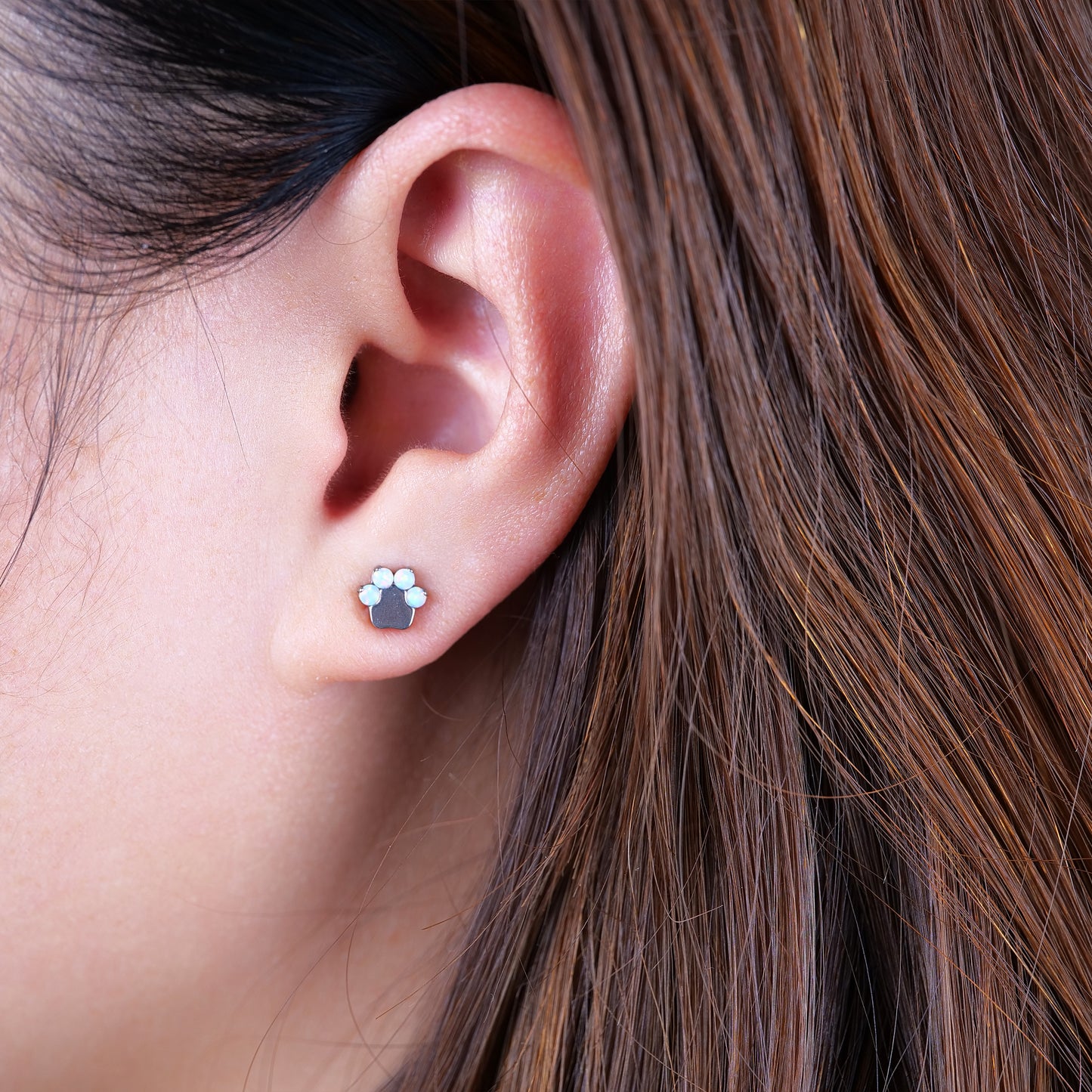 Limerencia G23 Pure Titanium Hypoallergenic Earrings | Cat Paws OPAL F136 Implant Grade Titanium Jewelry for Sensitive Ears