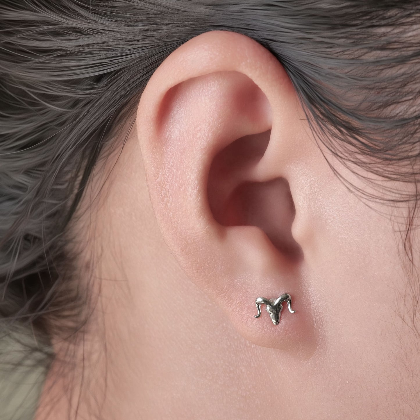 Orecchini a vite in titanio implantabile G23 Limerencia, piercing ipoallergenico F136 20G per cartilagine, trago ed elica orecchie sensibili, design testa di toro
