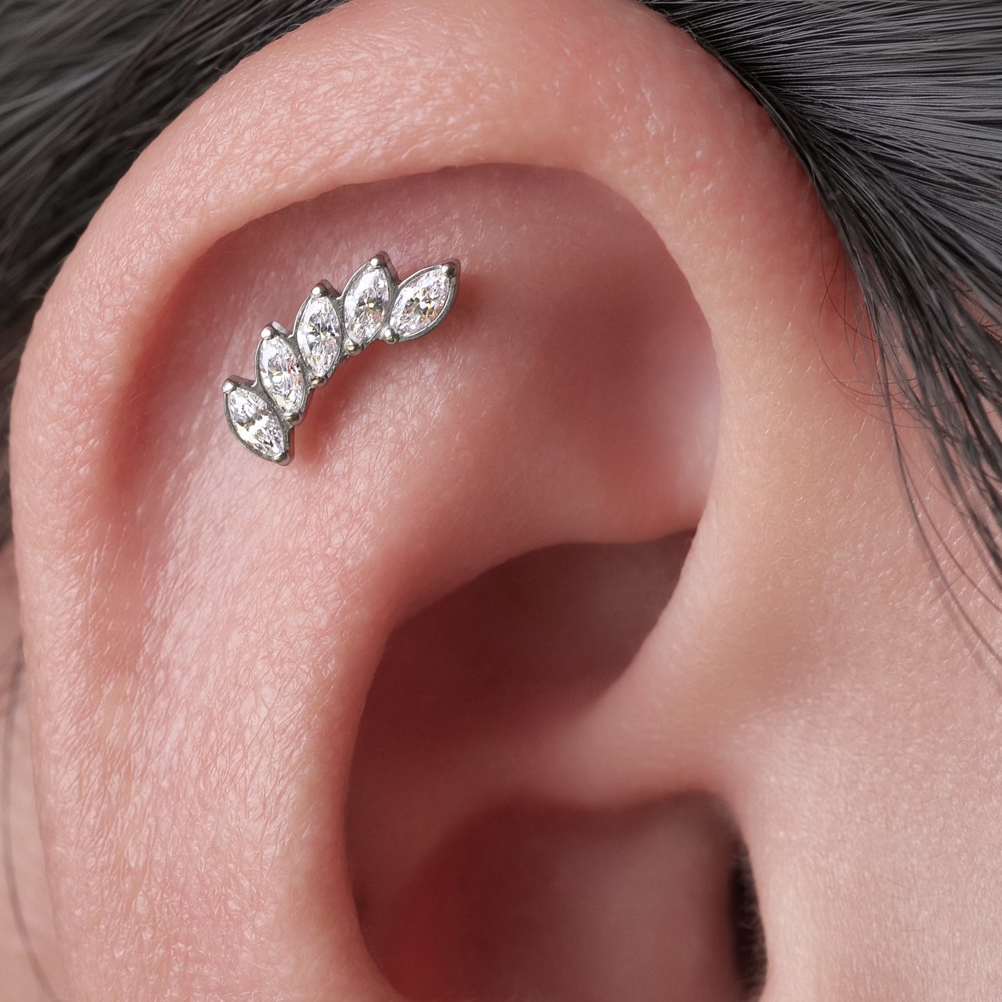 Limerencia Hypoallergenic G23 Implant Grade Titanium Screw Back Earrings Tragus 20G Helix F136 Piercing Post for Sensitive Ears Cartilage(Climber Crawler)