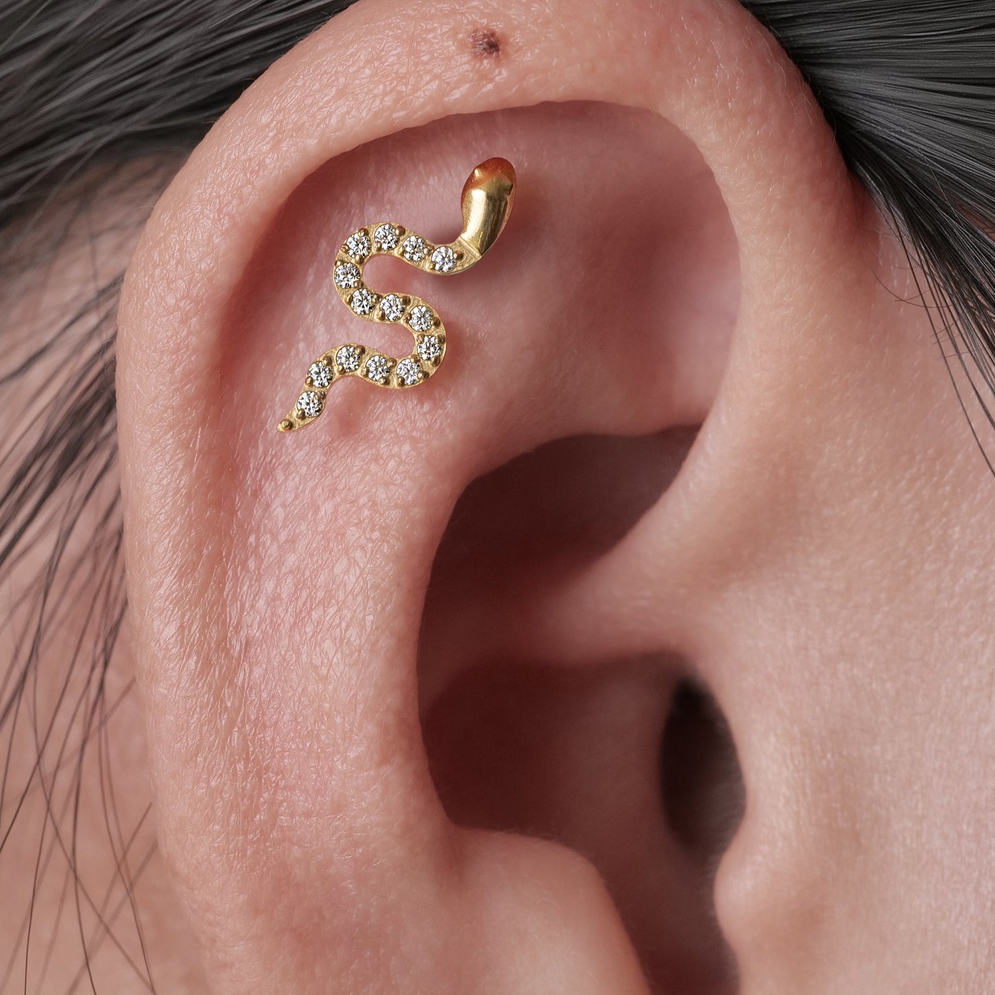 Limerencia Hypoallergenic G23 Implant Grade Titanium Screw Back Earrings Tragus 20G Helix F136 Piercing Post for Sensitive Ears Cartilage(snake)