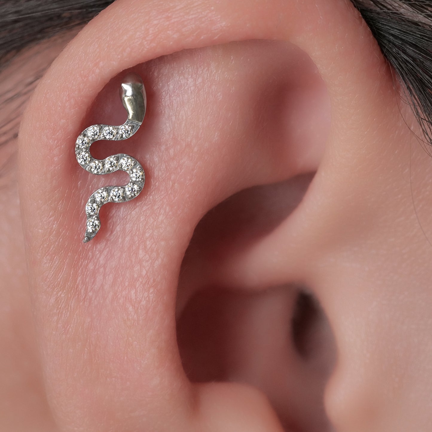 Limerencia Hypoallergenic G23 Implant Grade Titanium Screw Back Earrings Tragus 20G Helix F136 Piercing Post for Sensitive Ears Cartilage(snake)