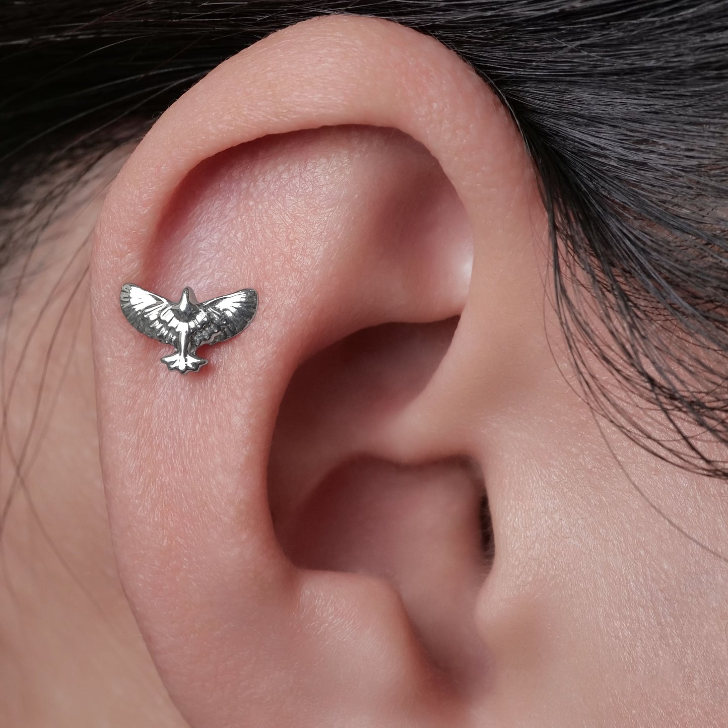 Limerencia Hypoallergene G23 Titan-Schraubverschluss-Ohrringe Tragus 20G Helix F136 Piercingstecker für empfindliche Ohren Knorpel (J2)