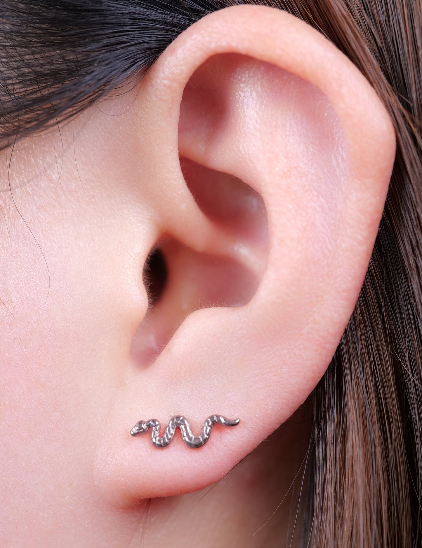 Limerencia G23 Hypoallergenic 18g Flat Back Stud Earrings | F136 Implant Grade Titanium Press Fit Threadless Push Pop in Cartilage Helix Labret Lip Monroe Tragus Piercing Studs- Snake