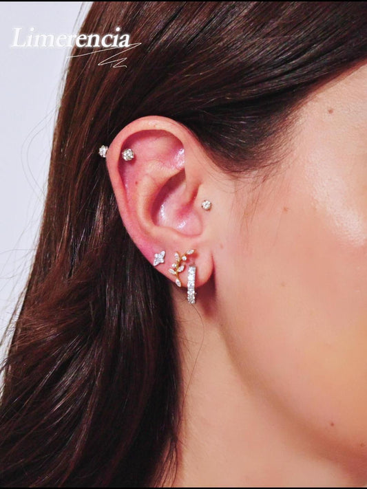 Limerencia Titanium Earrings Guide