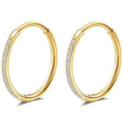 Limerencia Titanium Hoop Earrings for Women,G23 Implant Grade Pure Titanium Lightweight Hoop Earrings for Women Men Sensitive Ears