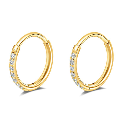 Limerencia Titanium Hoop Earrings for Women,G23 Implant Grade Pure Titanium Lightweight Hoop Earrings for Women Men Sensitive Ears