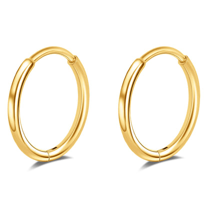 Limerencia Titanium Hoop Earrings for Women,G23 Implant Grade Pure Titanium Lightweight Hoop Earrings for Women Men Sensitive Ears