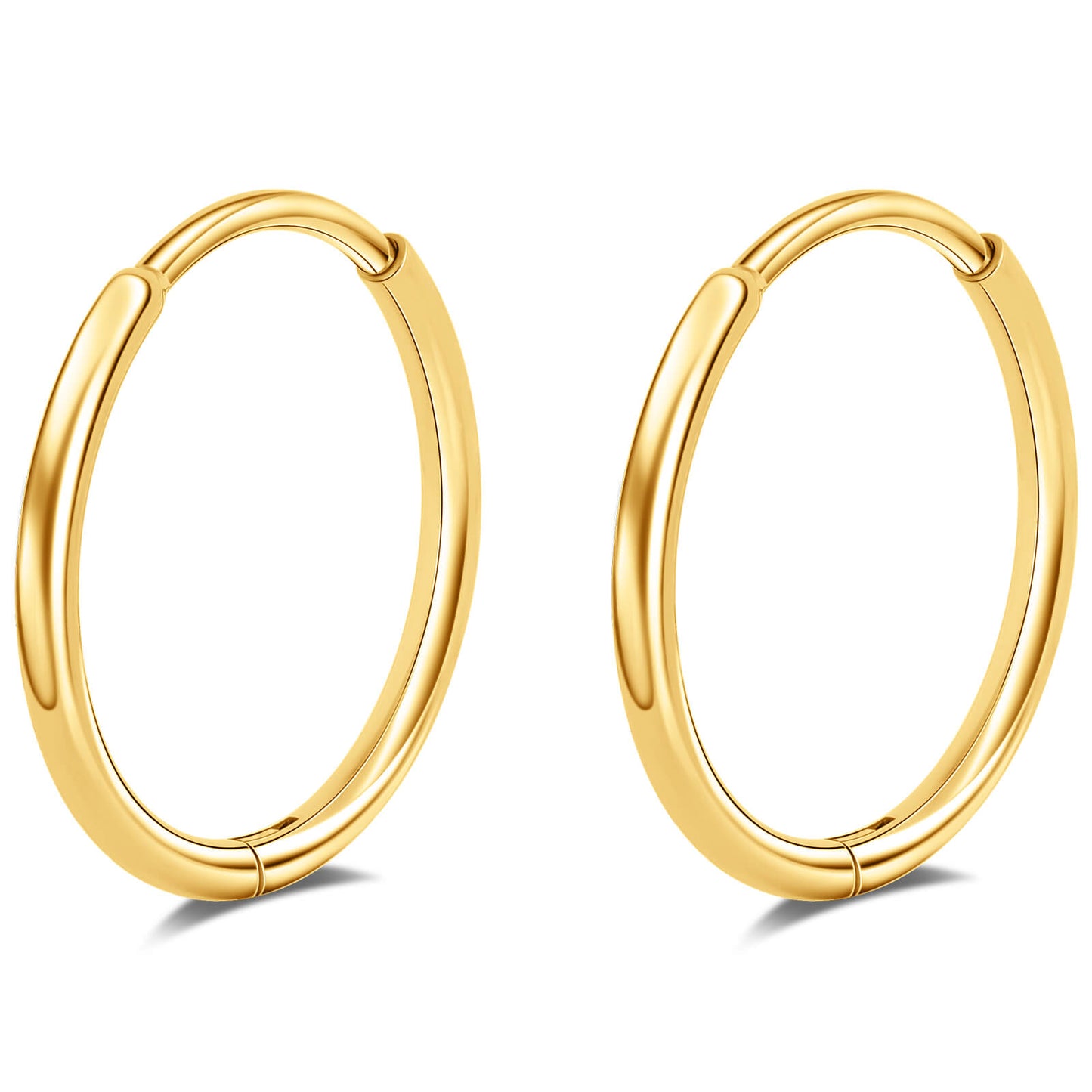 Limerencia Titanium Hoop Earrings for Women,G23 Implant Grade Pure Titanium Lightweight Hoop Earrings for Women Men Sensitive Ears