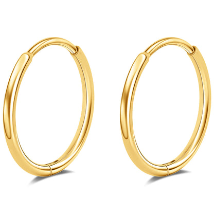 Limerencia Titanium Hoop Earrings for Women,G23 Implant Grade Pure Titanium Lightweight Hoop Earrings for Women Men Sensitive Ears