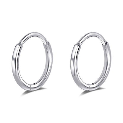 Limerencia Titanium Hoop Earrings for Women,G23 Implant Grade Pure Titanium Lightweight Hoop Earrings for Women Men Sensitive Ears