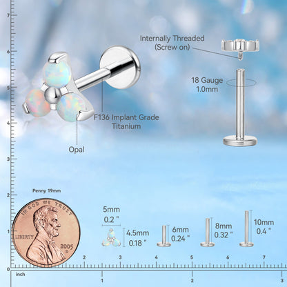 limerencia Titan hypoallergener Piercingschmuck – 18G 6 mm 8 mm 10 mm für Tragus, Helix, Conch, Knorpel, Nase, Lippe, F136 Implant Grade Flat Back intern geschraubte Ohrstecker (grün)