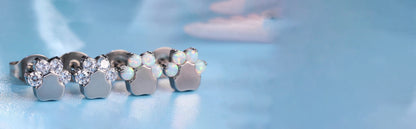 Pendientes hipoalergénicos de titanio puro Limerencia G23 | Cat Paws CZ F136 Joyería de titanio de grado implante para orejas sensibles