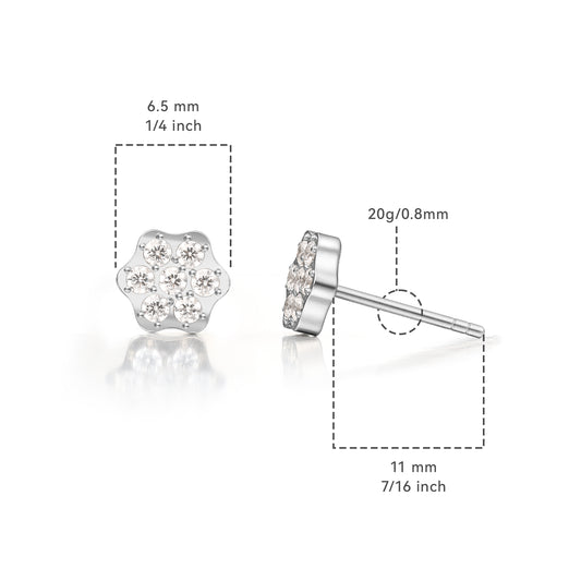 Limerencia Hypoallergenic G23 Pure Titanium Earrings, Safe for Sensitive Earrings, Cute Animal Silhouettes, F136 Implant Grade Titanium for Female (Hexagonal CZ, Titanium)