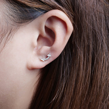 Limerencia Pendientes Hipoalergénicos de Titanio Grado Implante G23 con Cierre de Rosca para Tragus 20G Helix F136 Poste de Piercing para Orejas Sensibles Cartílago (Escalador Trepador)
