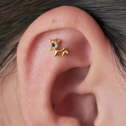 Orecchini a vite in titanio implantabile G23 Limerencia, piercing design cane animale 20G F136 ipoallergenico per orecchie sensibili cartilagine trago elica