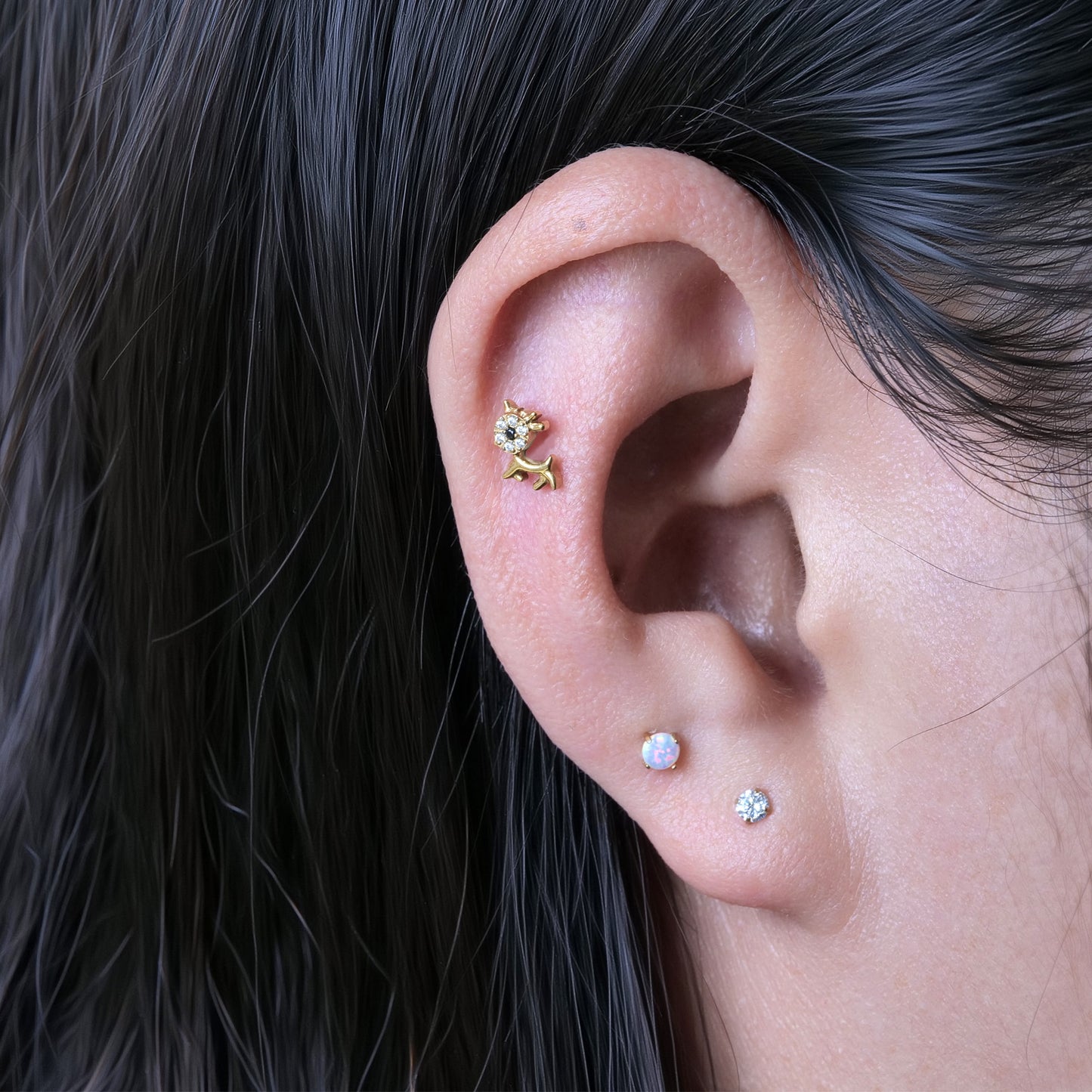 Limerencia Hypoallergenic G23 Implant Grade Titanium Screw Back Earrings Tragus 20G Helix F136 Piercing Post for Sensitive Ears Cartilage(animal dog)