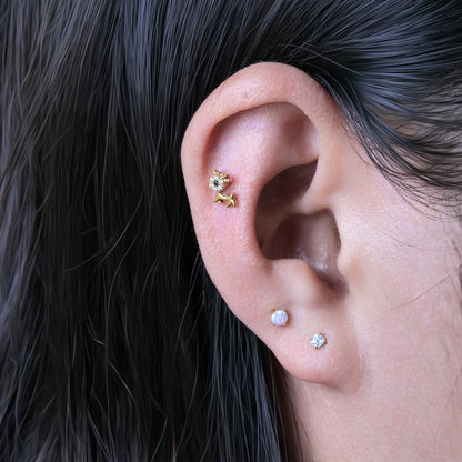 Limerencia Hypoallergenic G23 Implant Grade Titanium Screw Back Earrings Tragus 20G Helix F136 Piercing Post for Sensitive Ears Cartilage(animal dog)