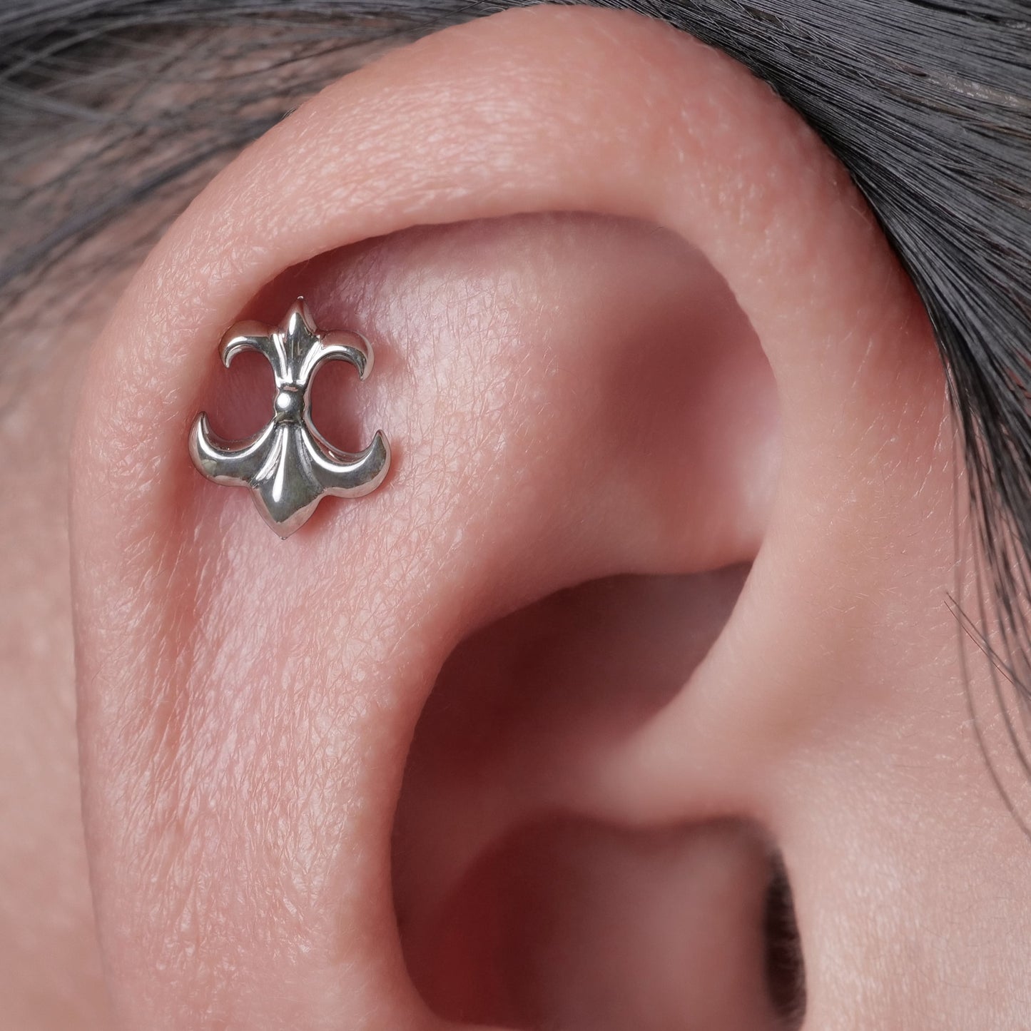Limerencia Pendientes Hipoalergénicos de Titanio G23 Grado Implante con Cierre de Rosca Tragus 20G Hélice F136 Poste de Perforación para Orejas Sensibles Cartílago (O2)