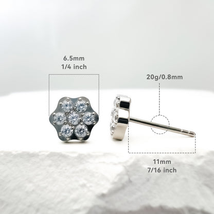 Limerencia Hypoallergene G23 Ohrringe aus reinem Titan, sicher für empfindliche Ohren, niedliche Tiersilhouetten, F136 Implantat-Titan für Damen (Sechseckiger Zirkonia, Titan)
