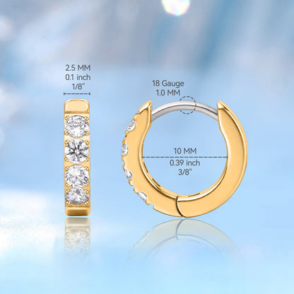 Titanium earrings for lobe orbital rook piercing
Hypoallergenic titanium CZ hoop earrings