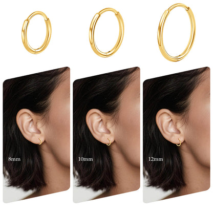 Limerencia Titanium Hoop Earrings for Women,G23 Implant Grade Pure Titanium Lightweight Hoop Earrings for Women Men Sensitive Ears