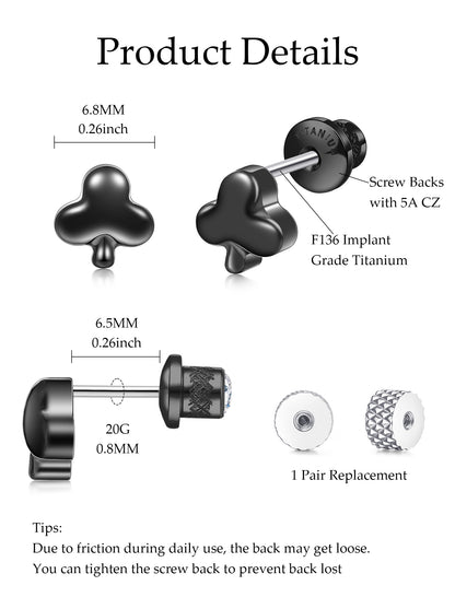 Limerencia Titanium Earring Studs, Implant Grade F136 Earrings with CZ Screw Back Hypoallergenic for Women and Men Sensitive Ears Jewelry Gift