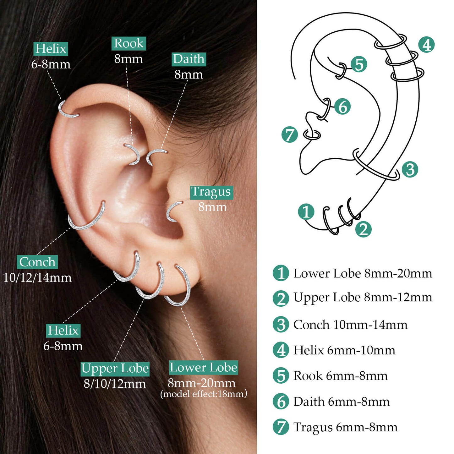 Limerencia Titanium Hoop Earrings for Women,G23 Implant Grade Pure Titanium Lightweight Hoop Earrings for Women Men Sensitive Ears