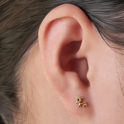 Orecchini a vite in titanio implantabile G23 Limerencia, piercing design cane animale 20G F136 ipoallergenico per orecchie sensibili cartilagine trago elica