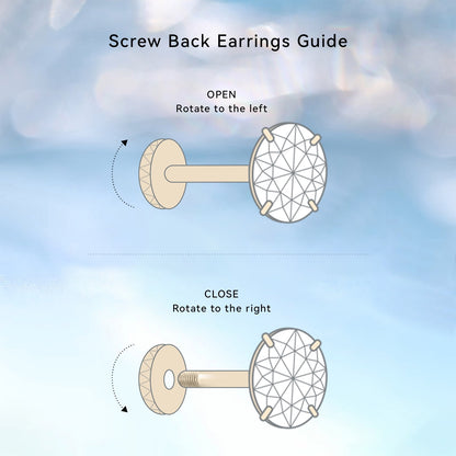 Limerencia Hypoallergenic G23 Pure Titanium Screw Back Earrings Post for Sensitive Ears Simulated Diamond Cartilage (5mm, White CZ)