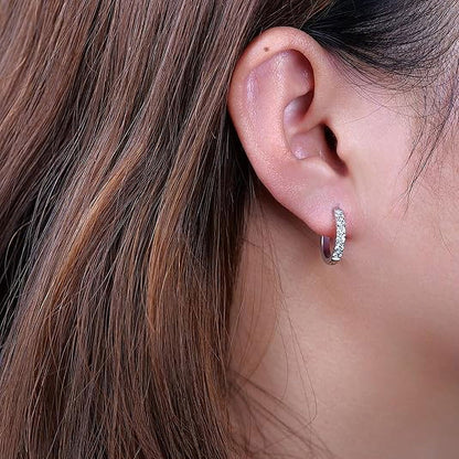 Silver Small Hoop Earrings for Women,Titanium Hypoallergenic Tiny Cubic Zirconia Cartilage Huggie Earring Sets for Multiple Piercing Trendy Jewelry