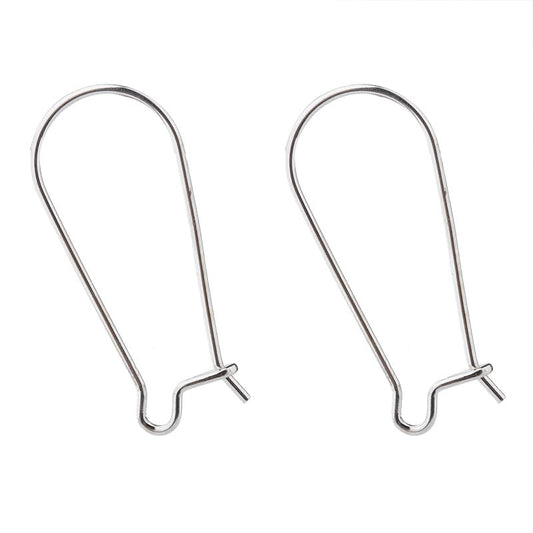 Limerencia Nickel Free Titanium French Hooks Earring Findings, Earring Making Kit Includes 10pcs French Earring Hooks Ear Wire and 10pcs Earring Backs
