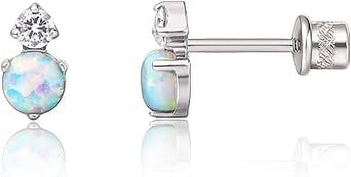 Limerencia Hypoallergenic G23 Titanium Screw Back Earrings Piercing Post for Women and Men Sensitive Ears