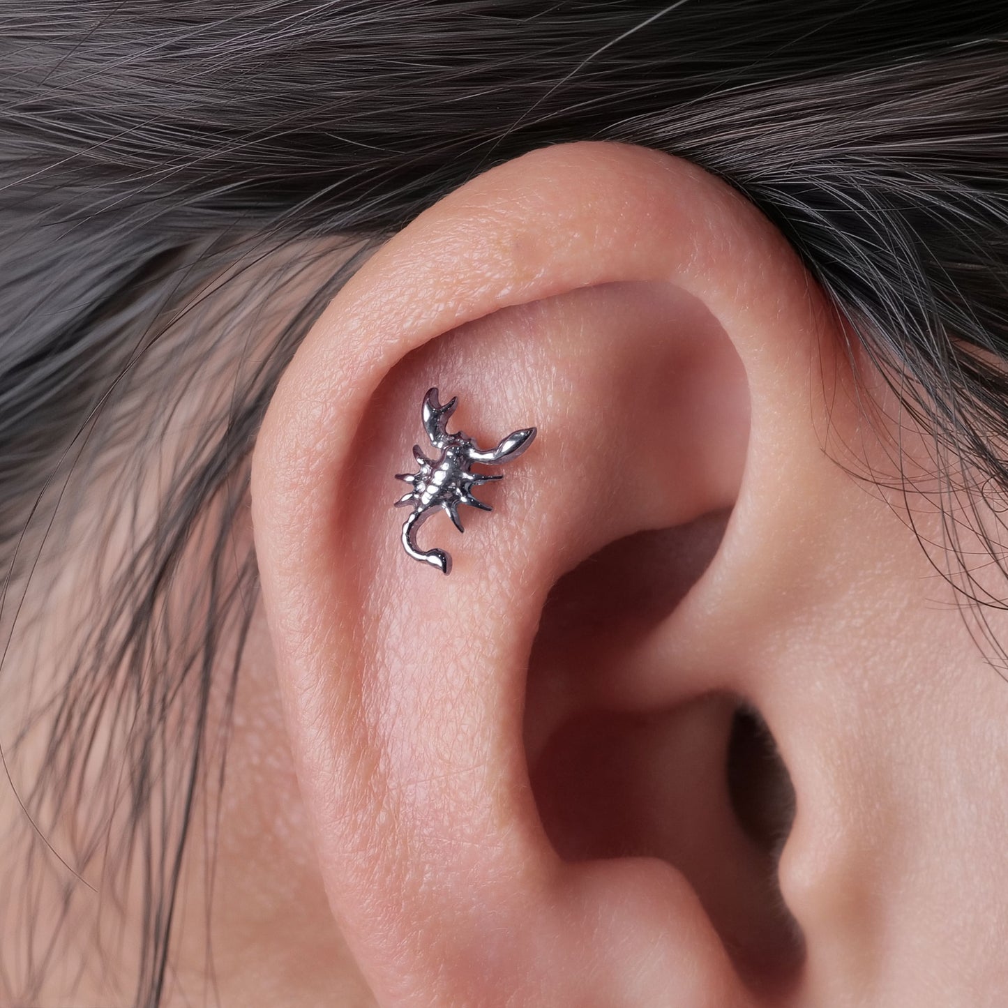 Limerencia Pendientes Hipoalergénicos de Titanio G23 de Grado Implante con Cierre de Rosca para Tragus 20G Hélice Poste de Piercing F136 para Orejas Sensibles Cartílago (escorpio)