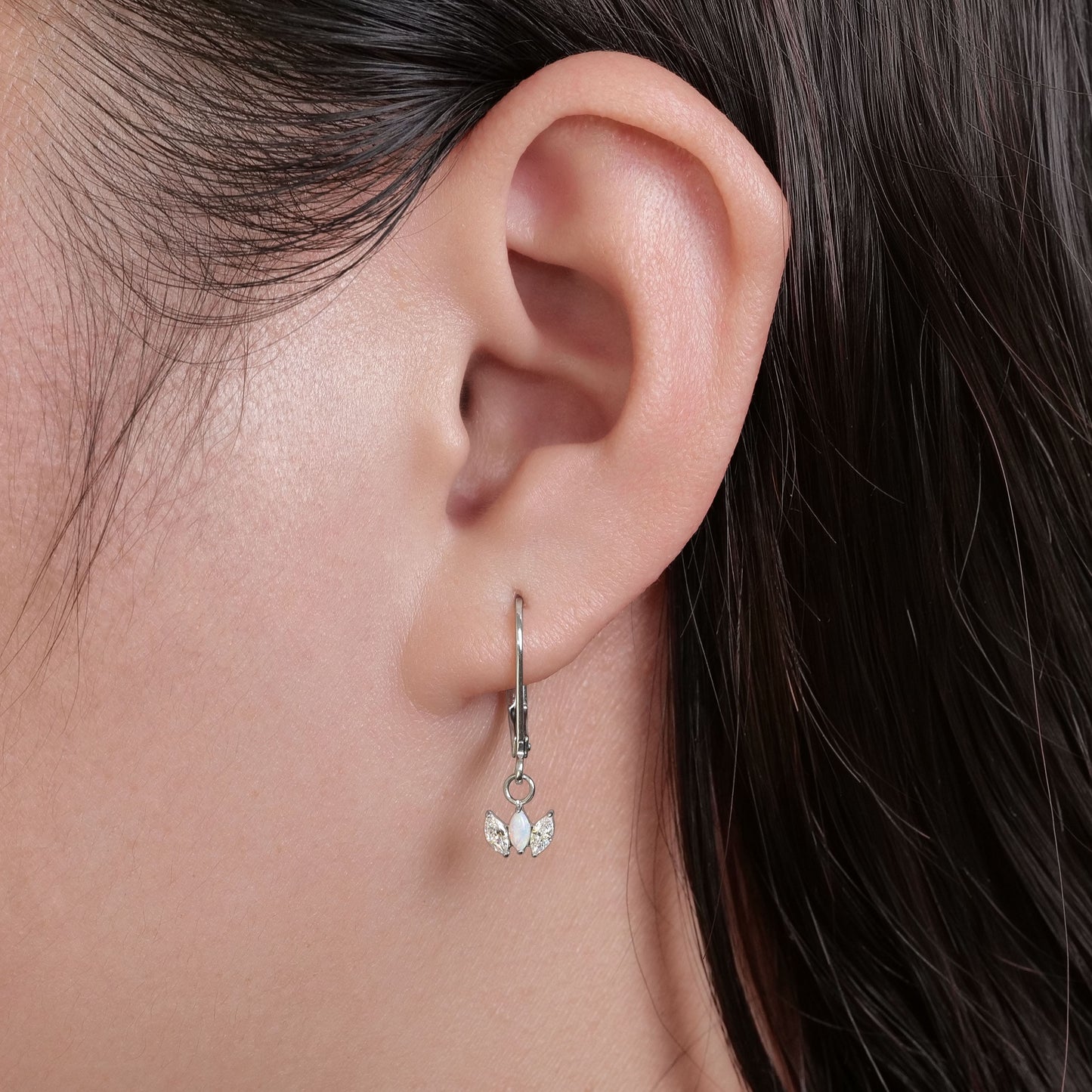 Limerencia G23 Titanium Leverback Earrings Dangle Drop Earrings for Women Fashion F136 Titanium Earrings Hypoallergenic Jewelry Gift--crown