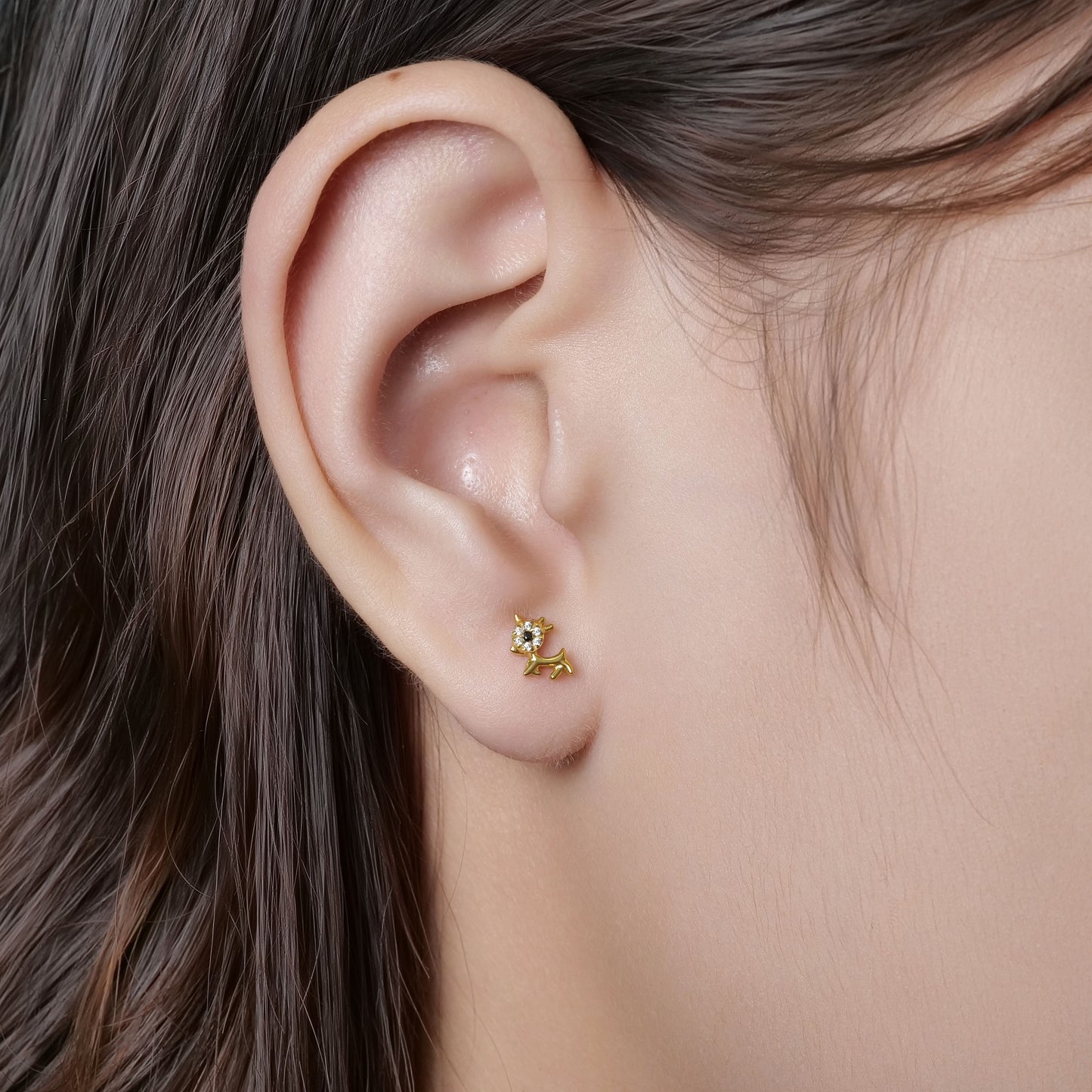 Limerencia Hypoallergenic G23 Implant Grade Titanium Screw Back Earrings Tragus 20G Helix F136 Piercing Post for Sensitive Ears Cartilage(animal dog)