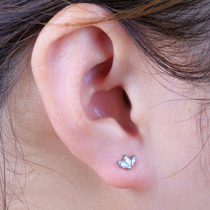 limerencia F136 Titanium Hypoallergenic Piercing Jewelry 18G 6mm 8mm 10mm For Tragus,Helix,Conch,Cartilage,Lip,Implant Grade Flat Back Internally Threaded Stud Earrings (Crown 1pc)