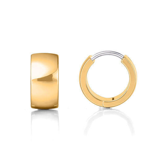 Orecchini cerchio spessi in titanio F136 grado impiantabile ipoallergenico Limerencia, orecchini huggie larghi e corposi G23 da donna per orecchie sensibili (colore oro)